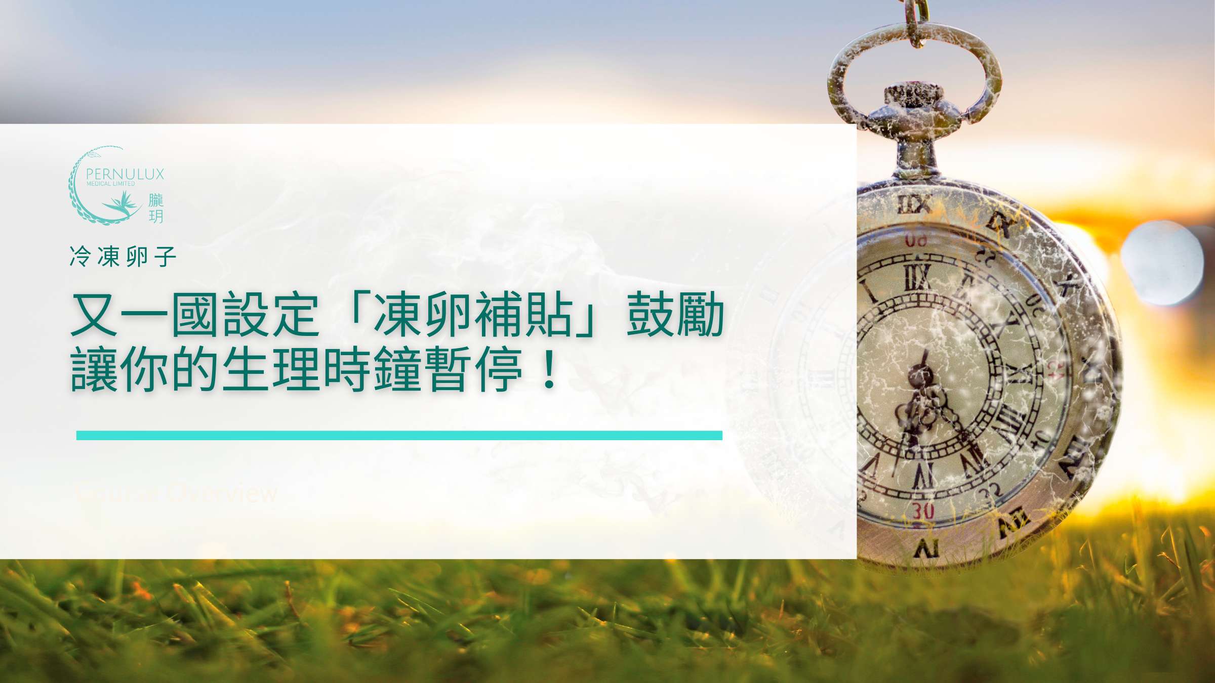 冷凍卵子||又一國設定「凍卵補貼」鼓勵讓你的生理時鐘暫停！