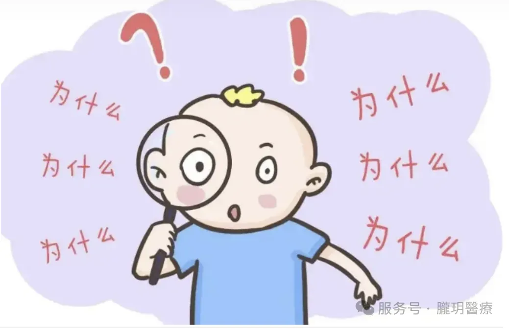 試管成功率解碼：從獲卵到活產，你必須知道的7大關鍵指標