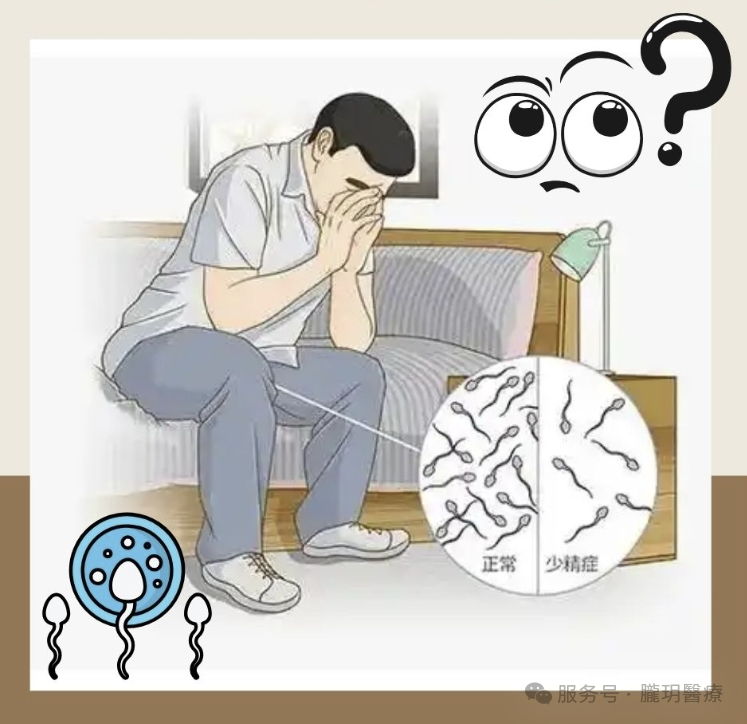 男性備孕||中醫教你弱精如何成就“爸業”