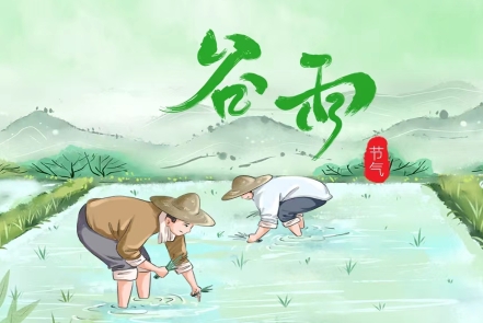 穀雨到，祛濕健脾正當時——中醫教你輕鬆應對春末養生